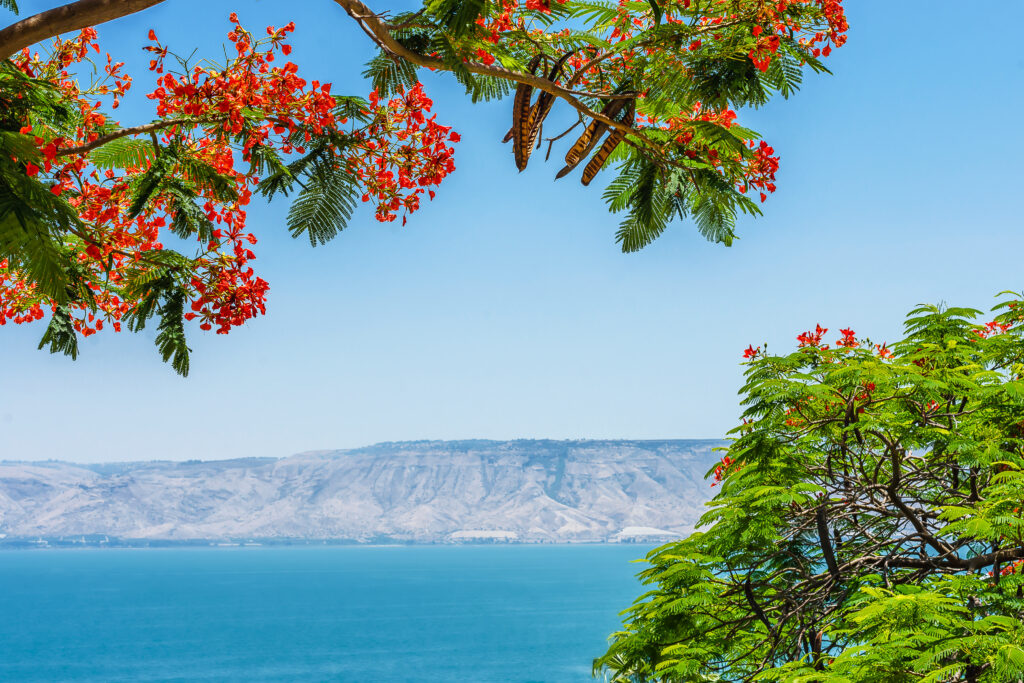 Beautiful view of the Sea of Galilee, Tiberius, Israel. 