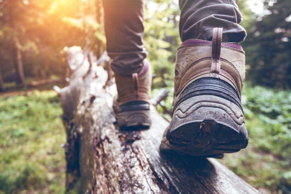 A hiker walking over a log, symbolism for “Seek first the kingdom.”