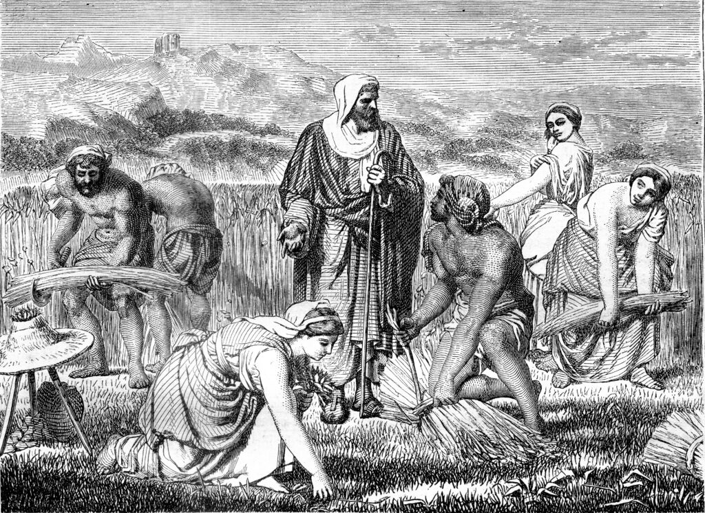 Vintage black and white engraving of painting by Glayre of the calling of Ruth and Boaz.