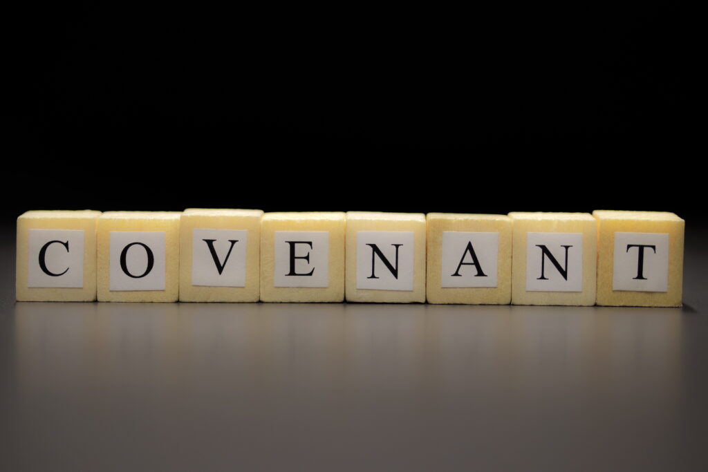 Wooden blocks with Covenant spelled out on them. 