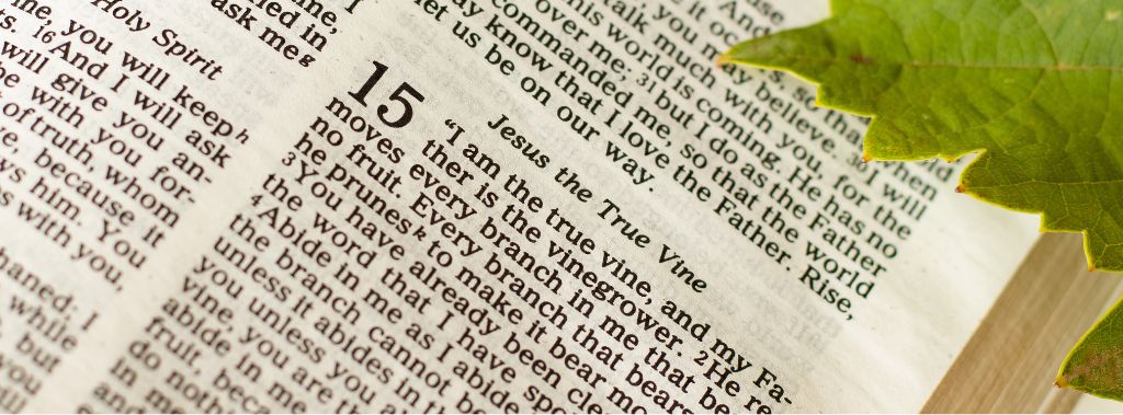 A Bible opened to the Gospel of John 15 parable Jesus the True Vine.