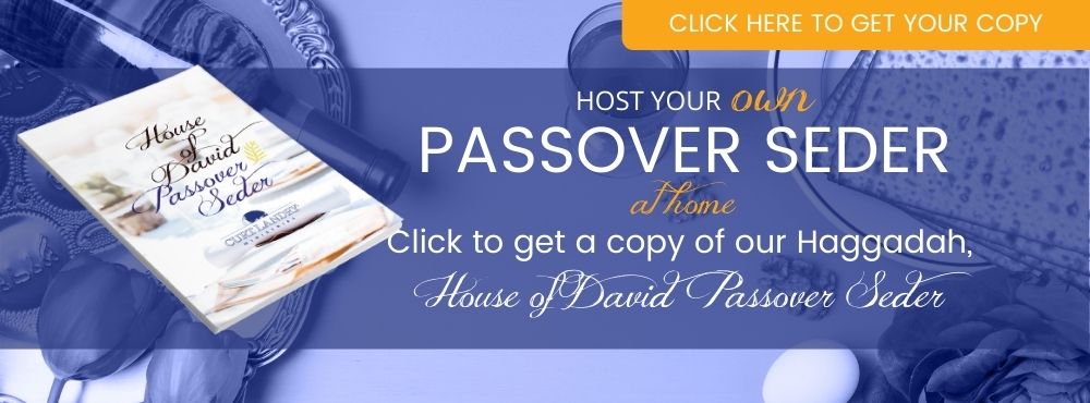 Click here to get your very own Haggadah for a Passover Seder meal.