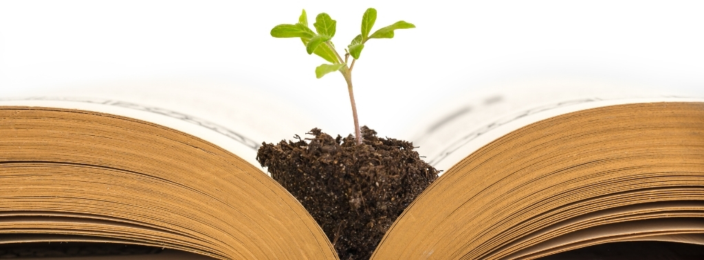 A small plant in soil growing out of the Bible as a symbol of healthy roots in the Holy Word.