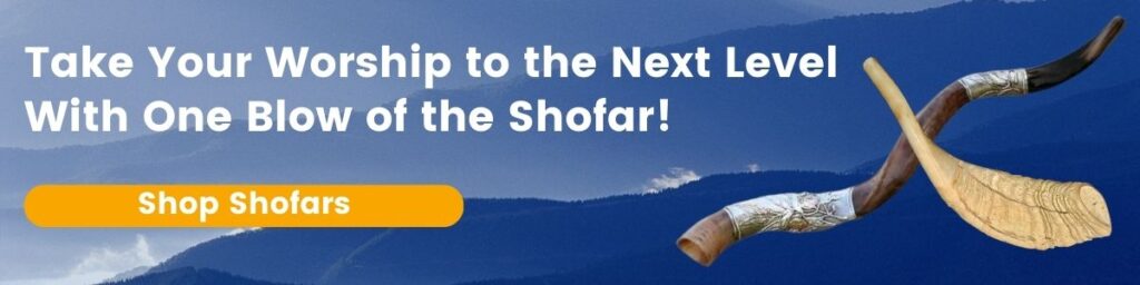 Click here to shop our selections of shofars!