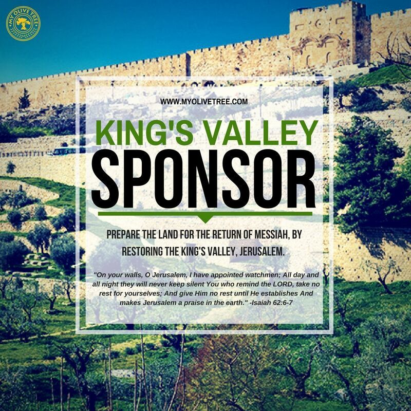 King's Valley Sponsor 