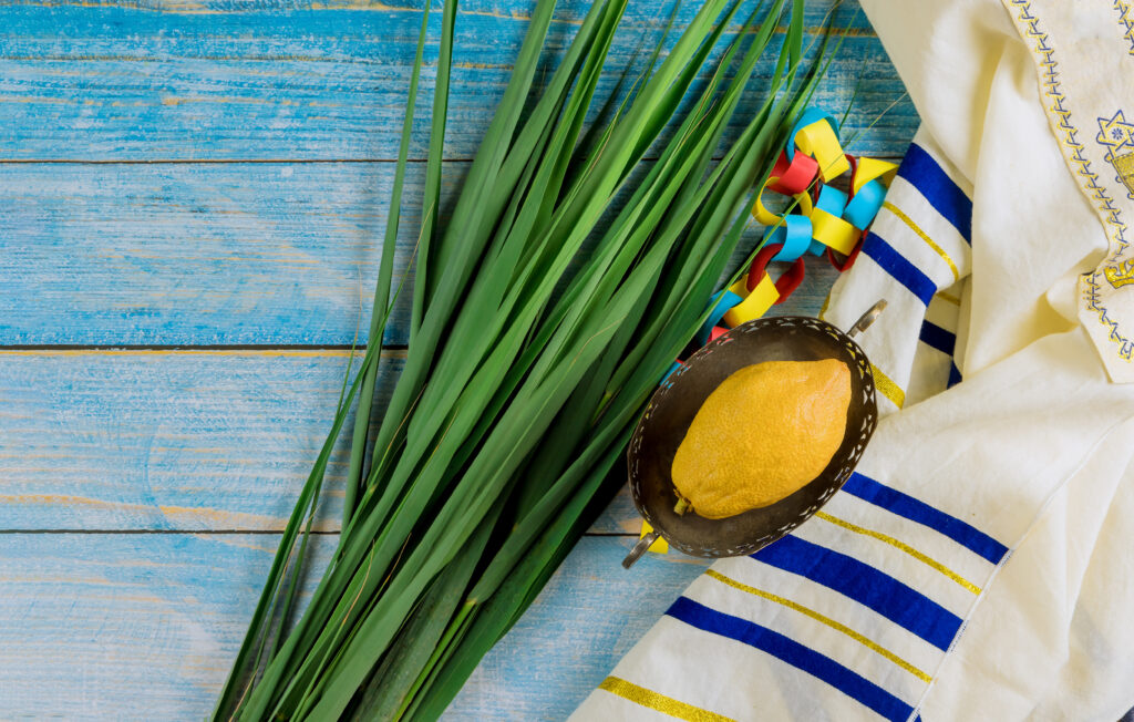 Symbols of the Jewish holiday celebration of Sukkot with four species etrog, lulav, hadas, arava